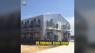 20 Chicken Steel Farm House Easy Build
