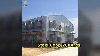 Steel Chicken Coop 20 Birds Easy Assembly